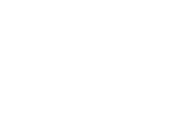 AP Studio